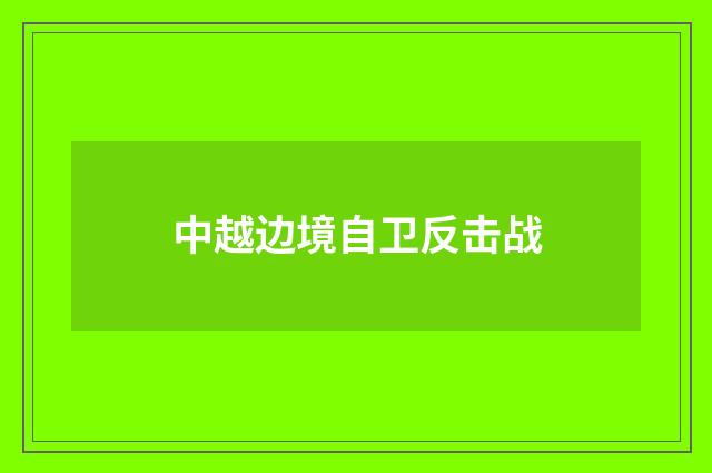 中越边境自卫反击战