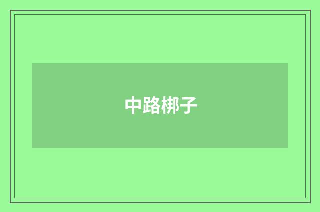 中路梆子