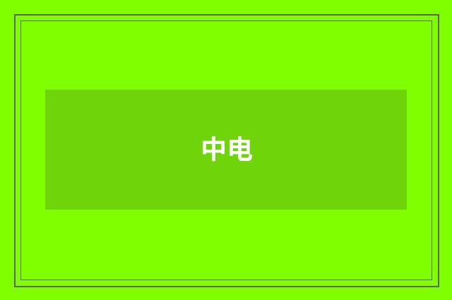 中电