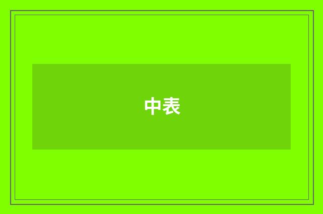 中表