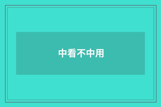 中看不中用