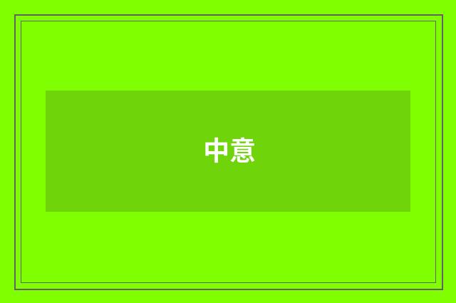 中意