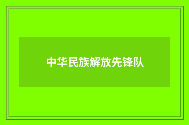 中华民族解放先锋队