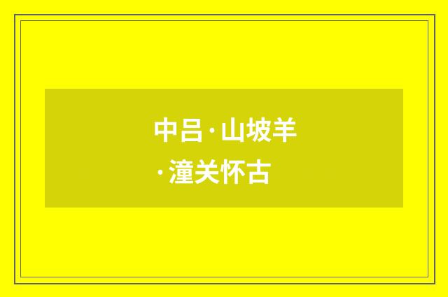 中吕·山坡羊·潼关怀古