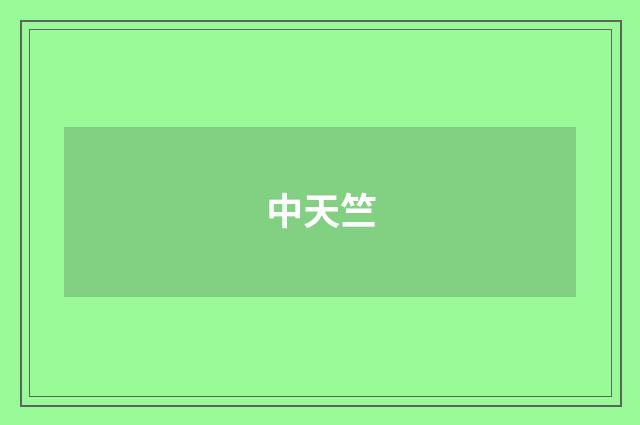 中天竺