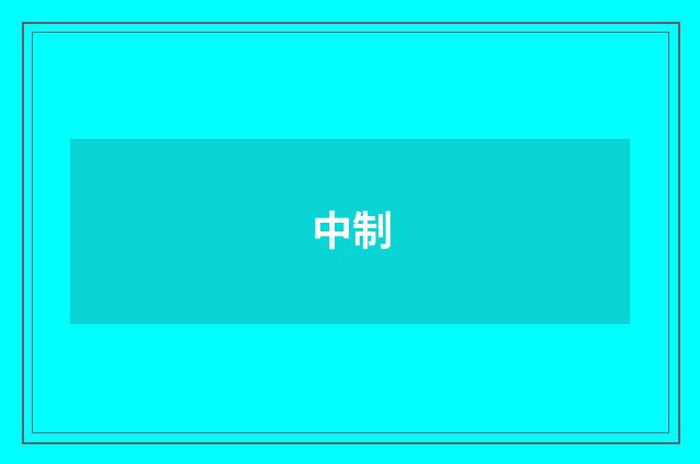中制