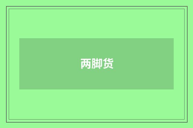 两脚货