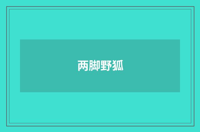 两脚野狐