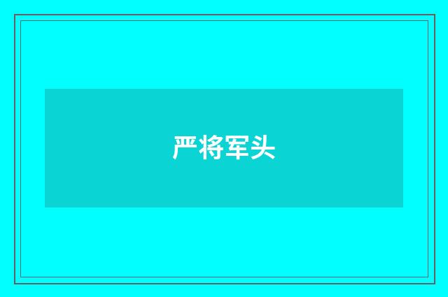 严将军头