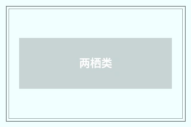 两栖类