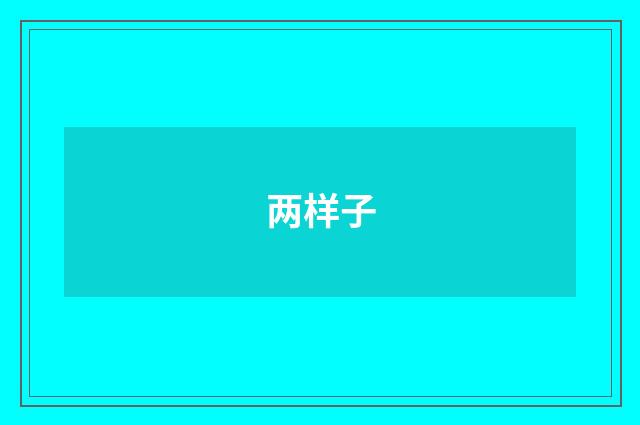两样子