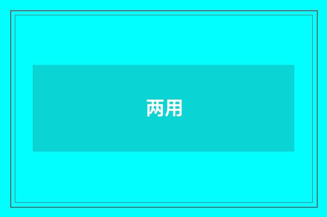 两用