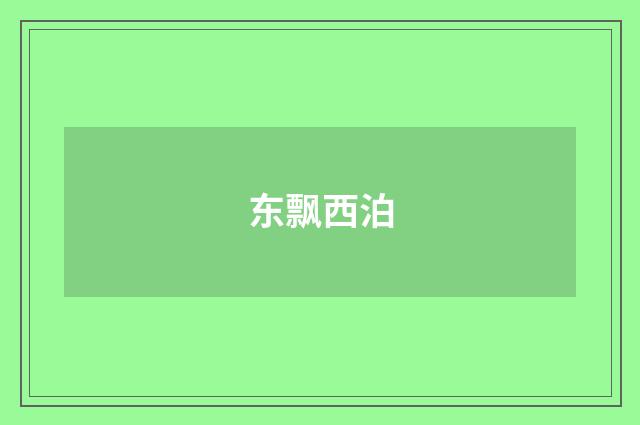 东飘西泊
