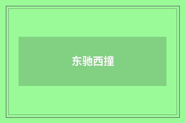 东驰西撞