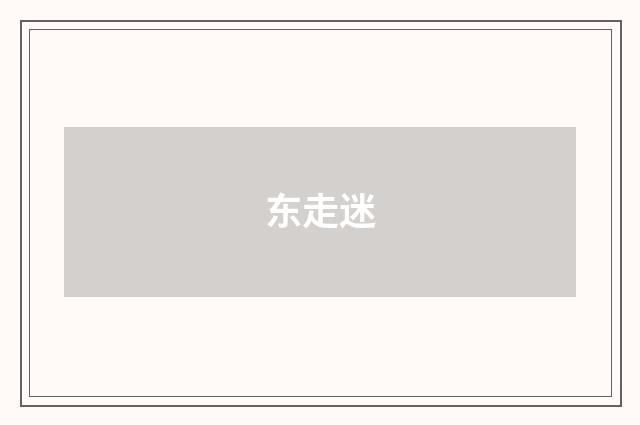 东走迷