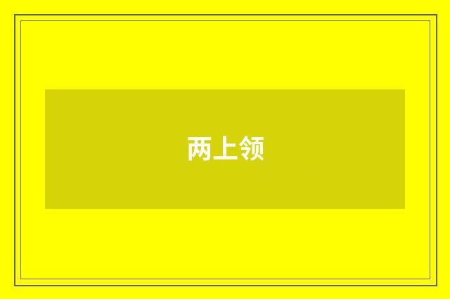 两上领
