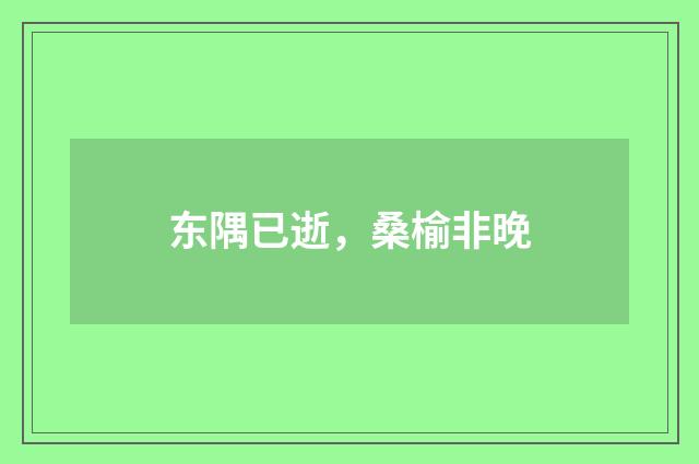 东隅已逝，桑榆非晚