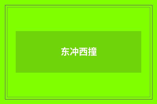 东冲西撞