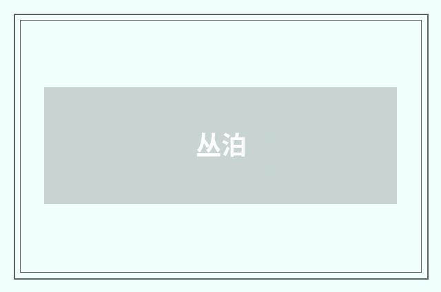 丛泊