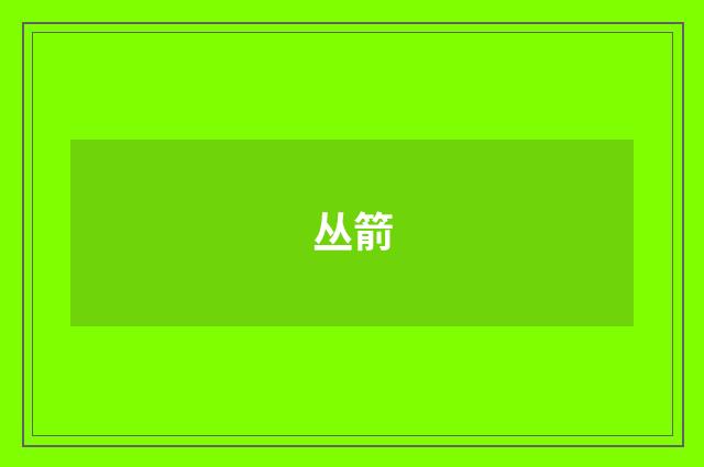 丛箭