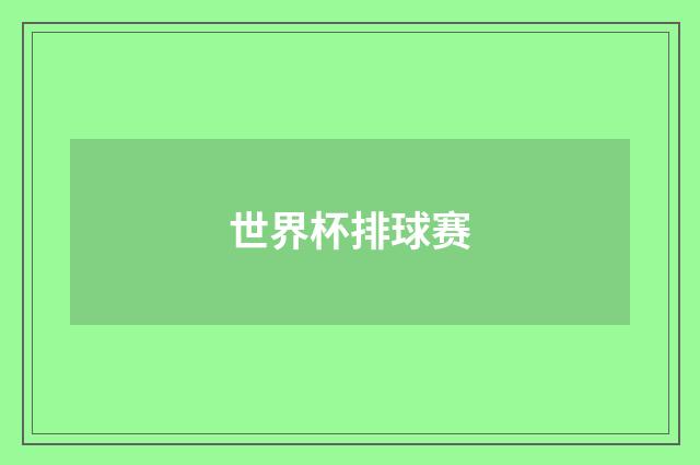 世界杯排球赛