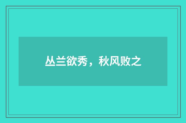 丛兰欲秀，秋风败之