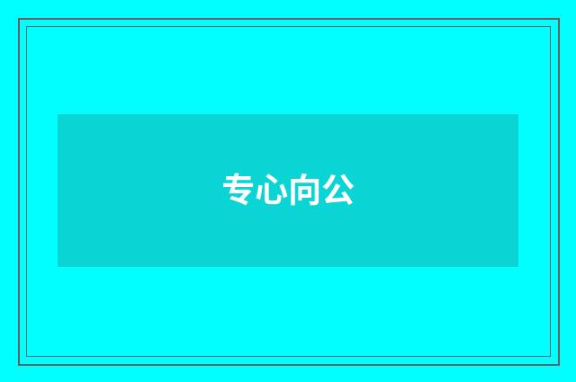 专心向公