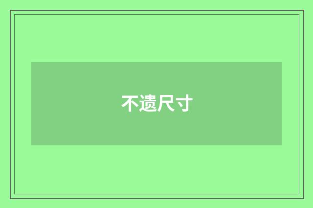 不遗尺寸