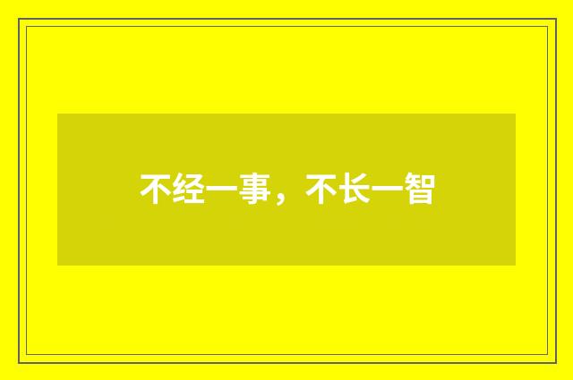 不经一事，不长一智
