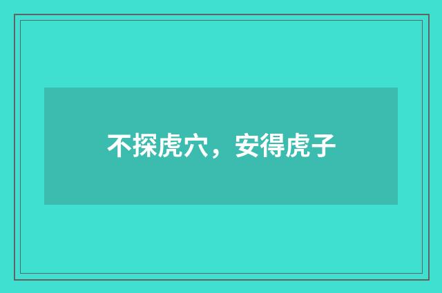 不探虎穴，安得虎子