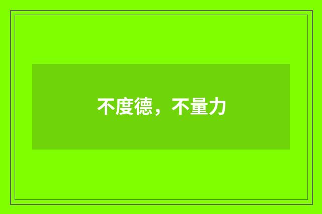 不度德，不量力