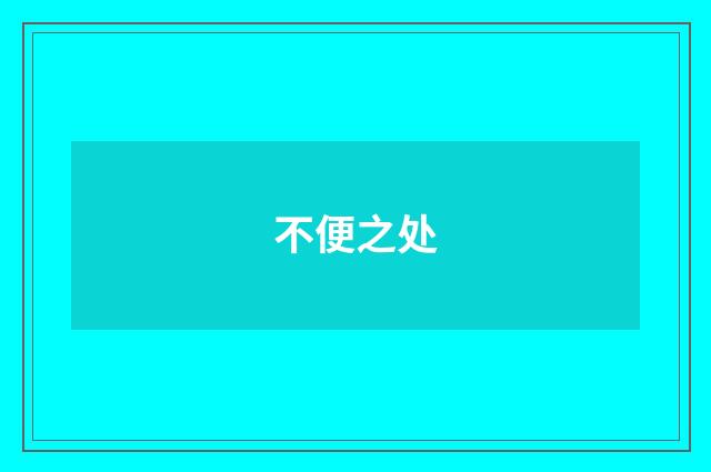 不便之处