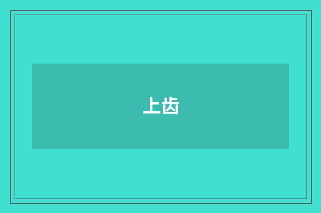 上齿