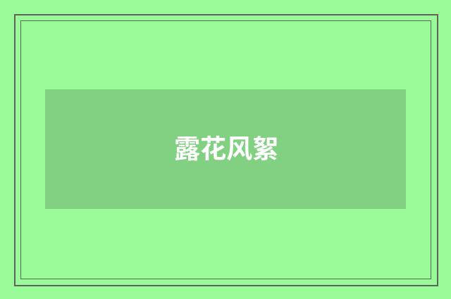 露花风絮