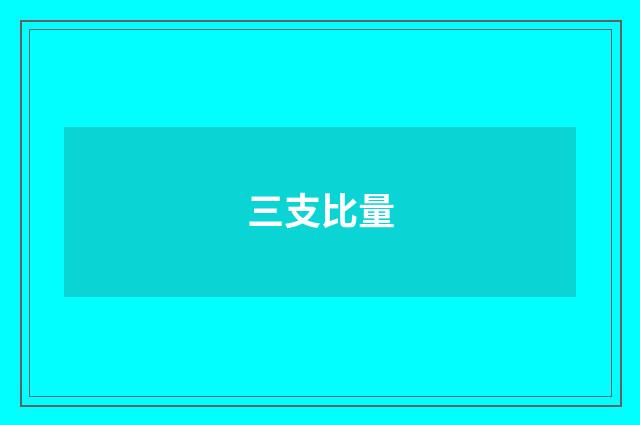 三支比量