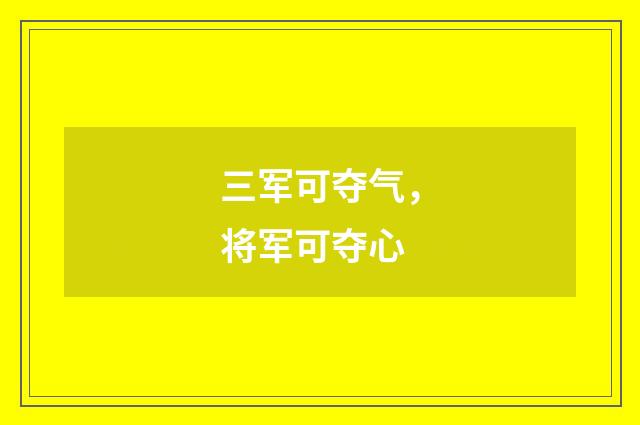 三军可夺气，将军可夺心