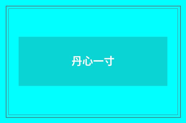 丹心一寸