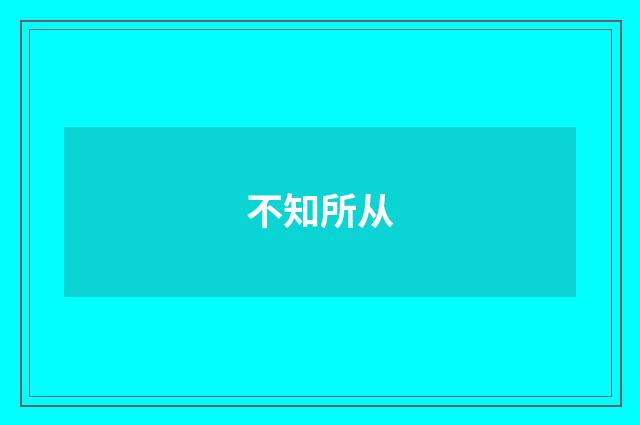 不知所从