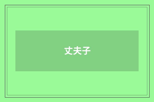 丈夫子