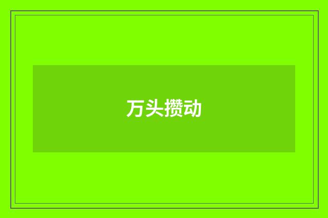 万头攒动