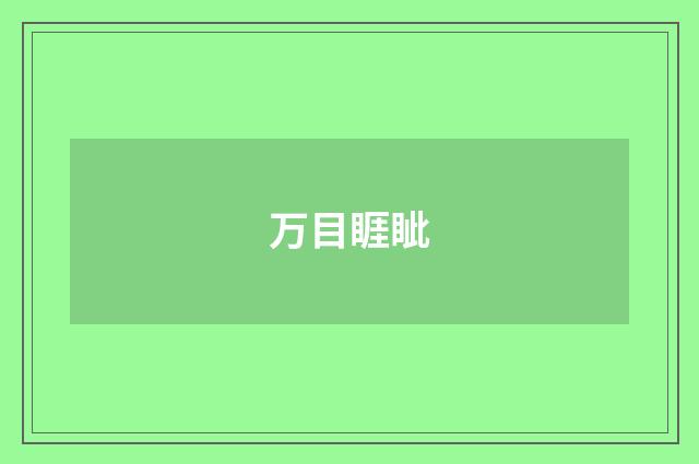 万目睚眦