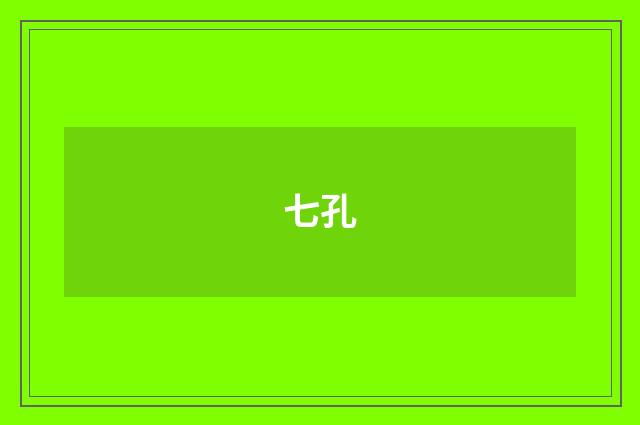 七孔