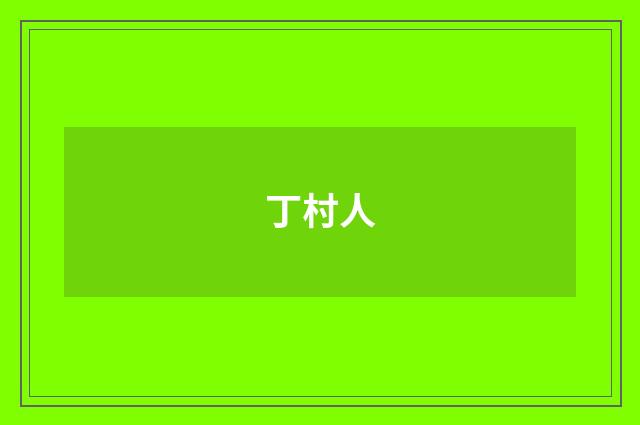 丁村人