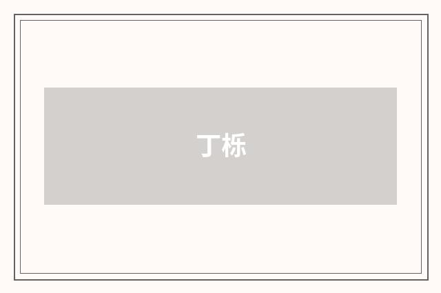 丁栎