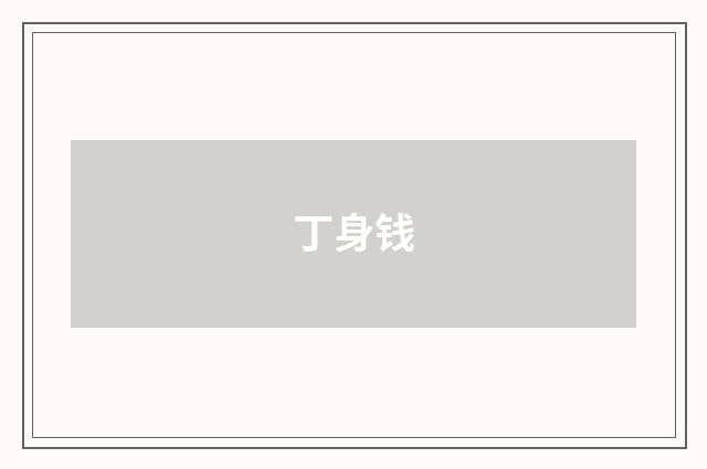 丁身钱