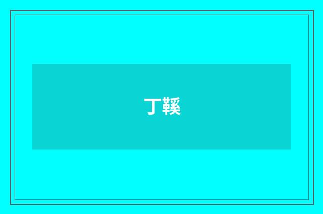 丁鞵