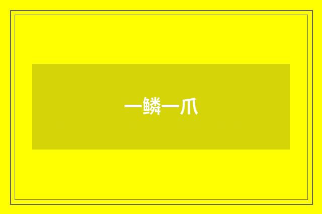 一鳞一爪