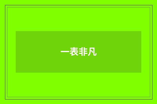 一表非凡