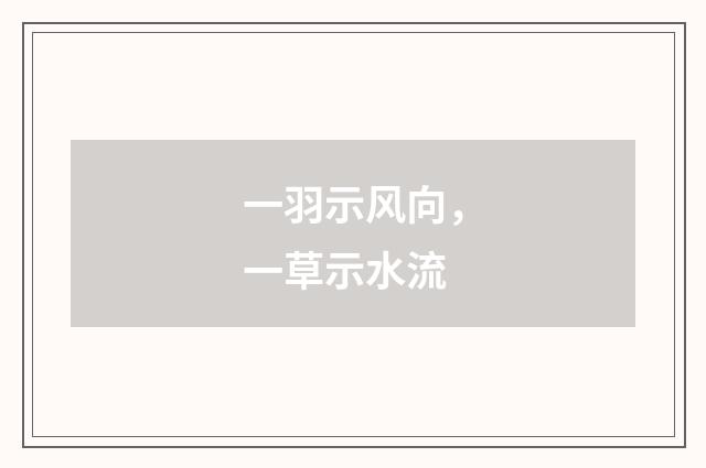 一羽示风向，一草示水流