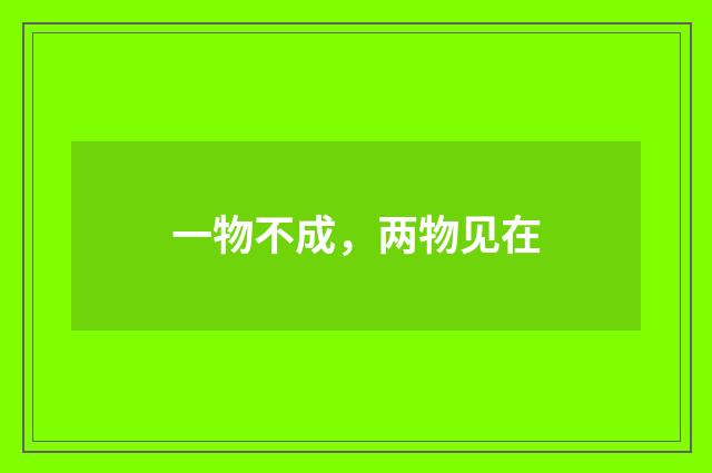 一物不成，两物见在